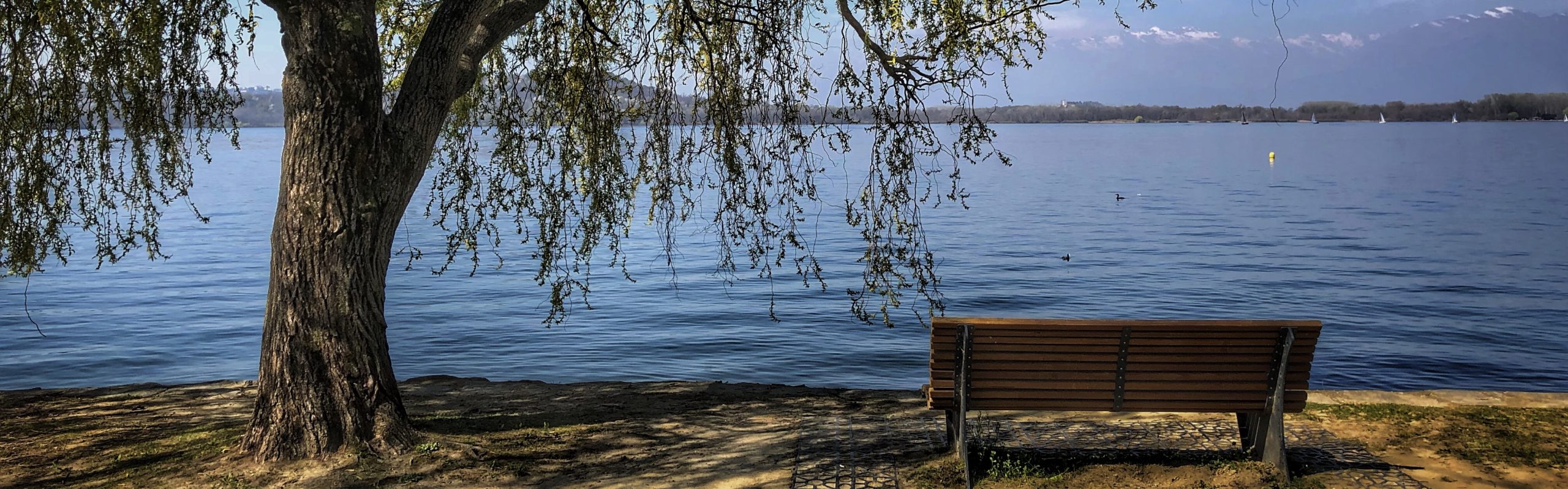 Dottoressa Enrica Felicioni